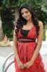 Vimala Raman Hot Photos